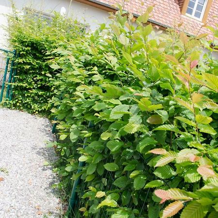 Whitley Cottage Condette Bagian luar foto