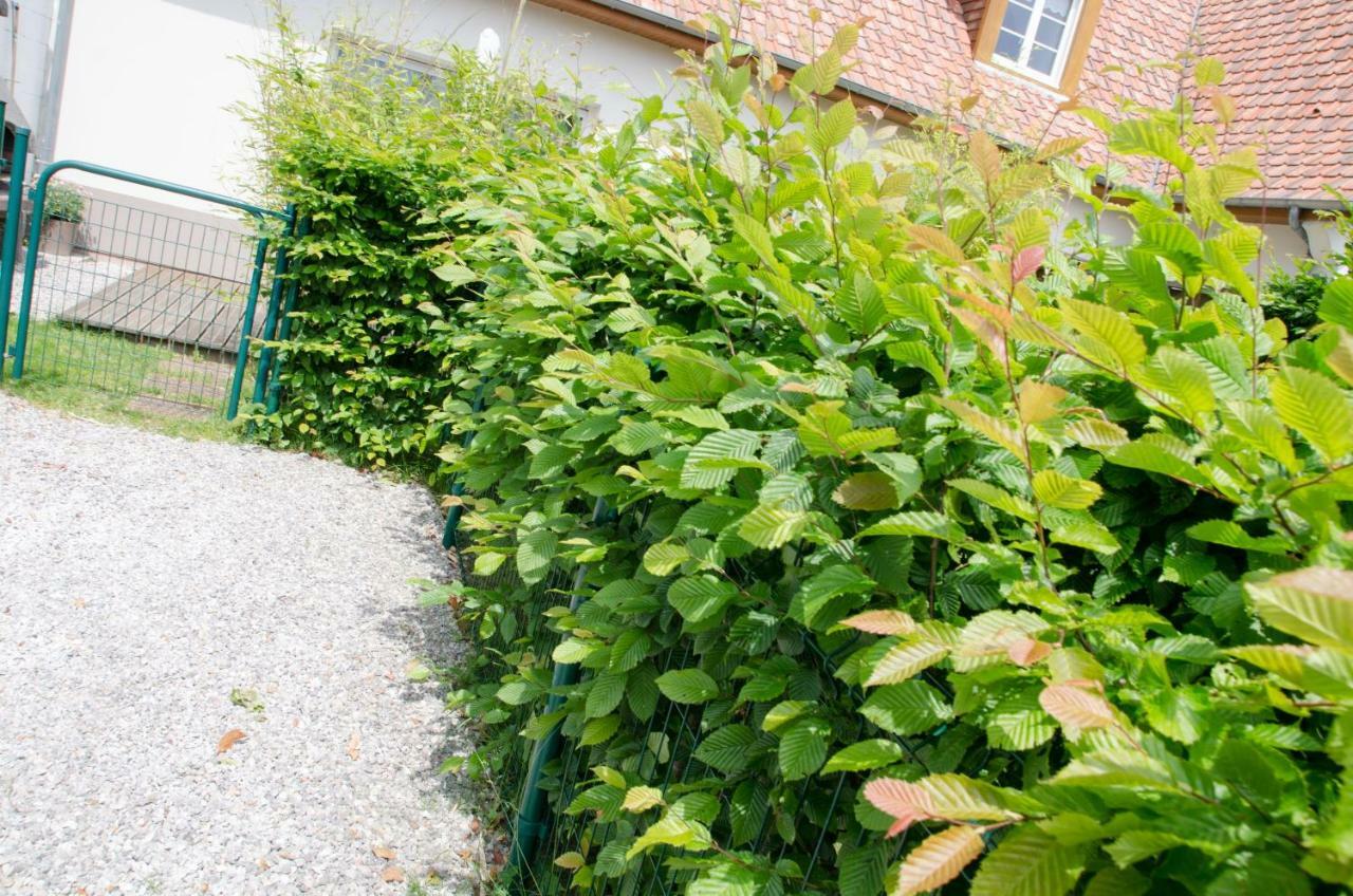 Whitley Cottage Condette Bagian luar foto
